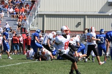 Enlarge photo 199