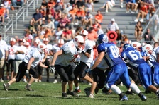 Enlarge photo 202