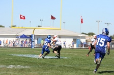 Enlarge photo 230