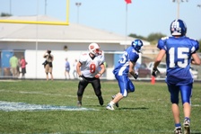 Enlarge photo 231