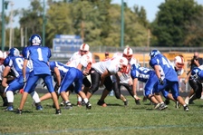Enlarge photo 233