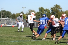 Enlarge photo 241
