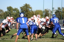 Enlarge photo 265