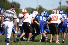 Enlarge photo 267
