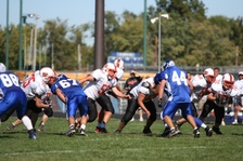 Enlarge photo 275