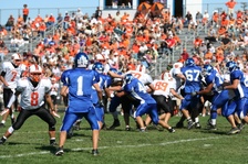 Enlarge photo 284