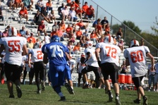 Enlarge photo 323