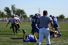 Enlarge photo 338