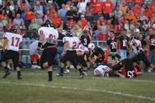 Enlarge photo 51