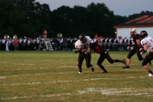 Enlarge photo 92