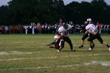 Enlarge photo 93