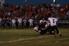 Enlarge photo 134