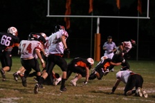 Enlarge photo 216