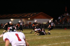 Enlarge photo 258