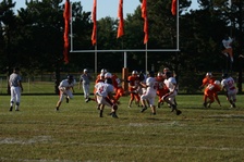 Enlarge photo 105