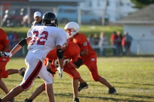 Enlarge photo 141