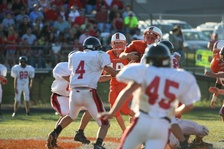 Enlarge photo 143