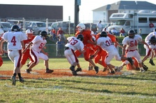 Enlarge photo 146
