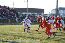 Enlarge photo 152