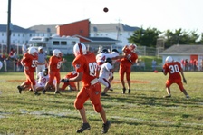 Enlarge photo 154