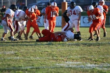 Enlarge photo 187