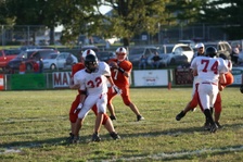 Enlarge photo 201