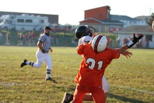 Enlarge photo 203