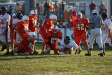 Enlarge photo 215