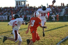 Enlarge photo 231