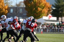 Enlarge photo 305