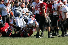 Enlarge photo 58