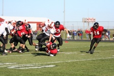 Enlarge photo 407