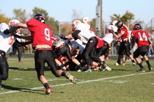 Enlarge photo 417