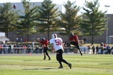 Enlarge photo 65