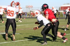 Enlarge photo 422