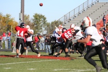 Enlarge photo 432