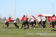 Enlarge photo 442