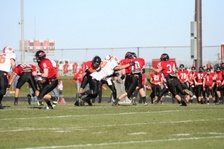 Enlarge photo 444