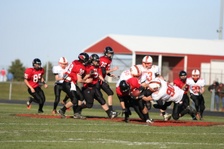 Enlarge photo 446