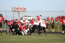 Enlarge photo 458