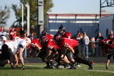 Enlarge photo 462