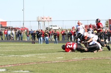 Enlarge photo 118