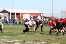 Enlarge photo 121