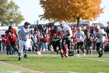 Enlarge photo 202