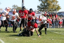 Enlarge photo 222