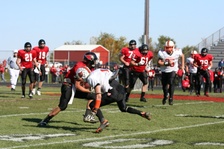 Enlarge photo 229