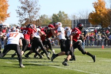 Enlarge photo 238