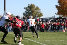 Enlarge photo 270