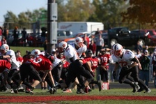 Enlarge photo 272
