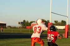 Enlarge photo 47